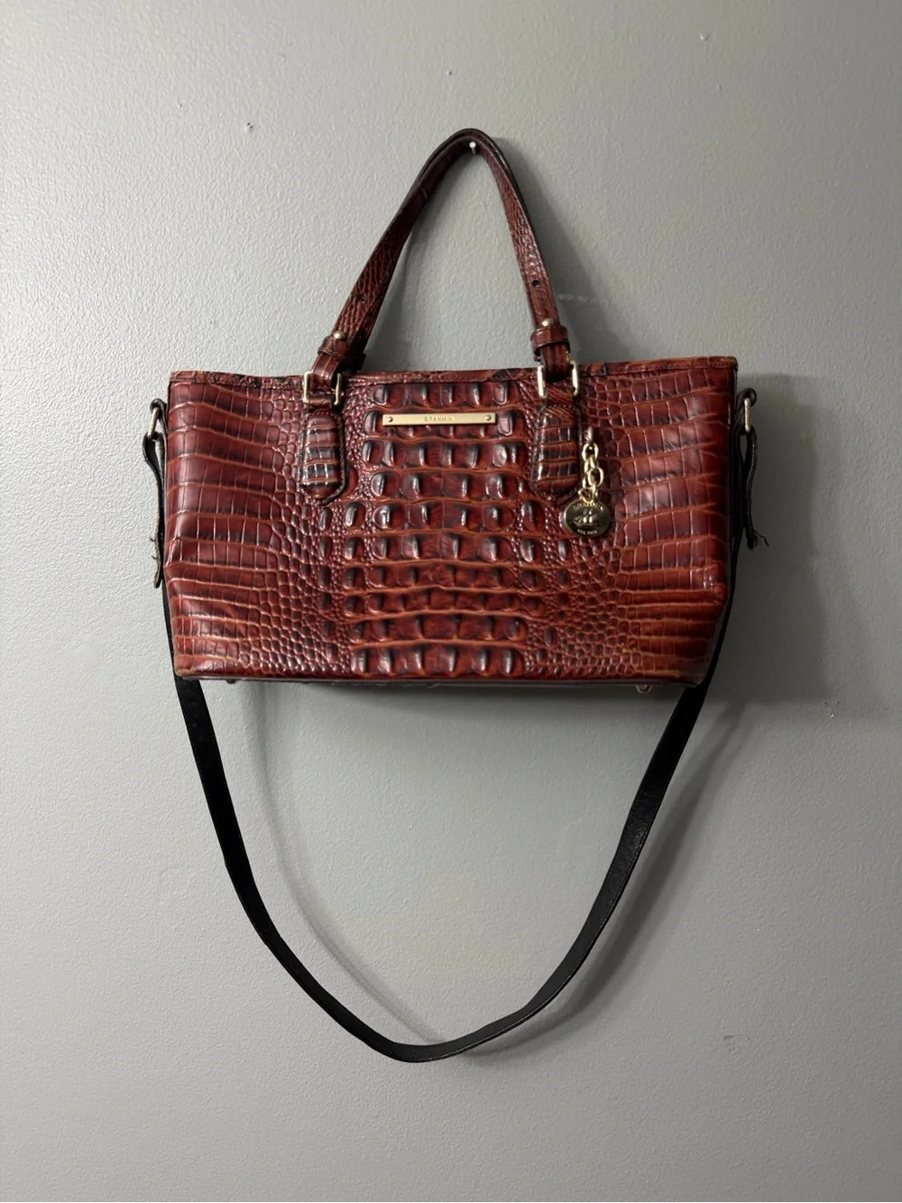Brahmin Mini Asher Satchel in Pecan Melbourne leather, featuring a textured croc